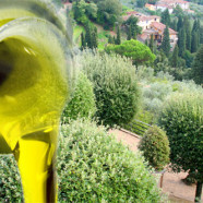 Olive Oil