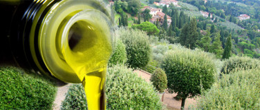 Olive Oil