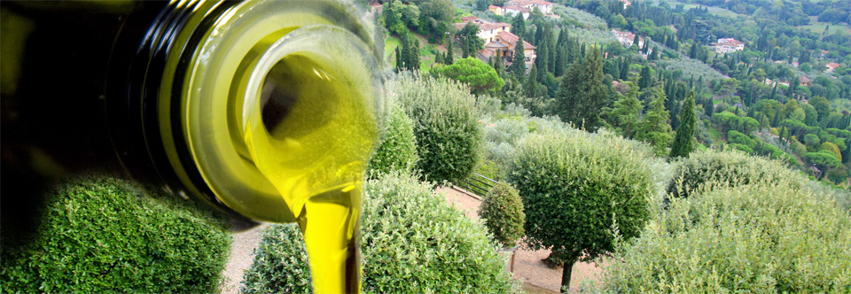 Olive Oil